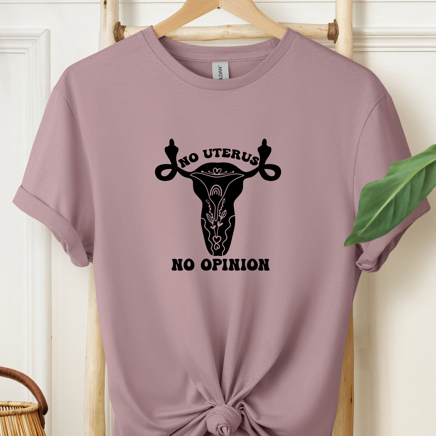 No Uterus No Opinion