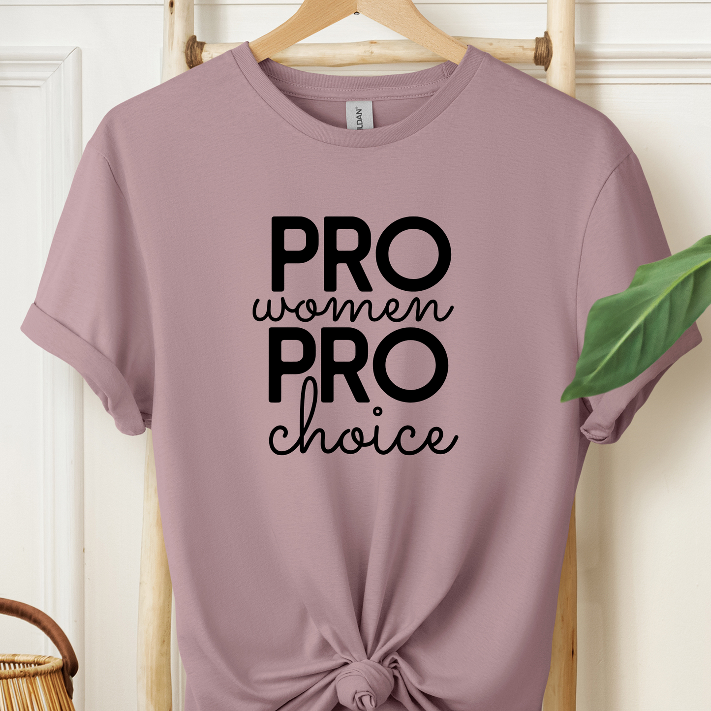 Pro Women Pro Choice