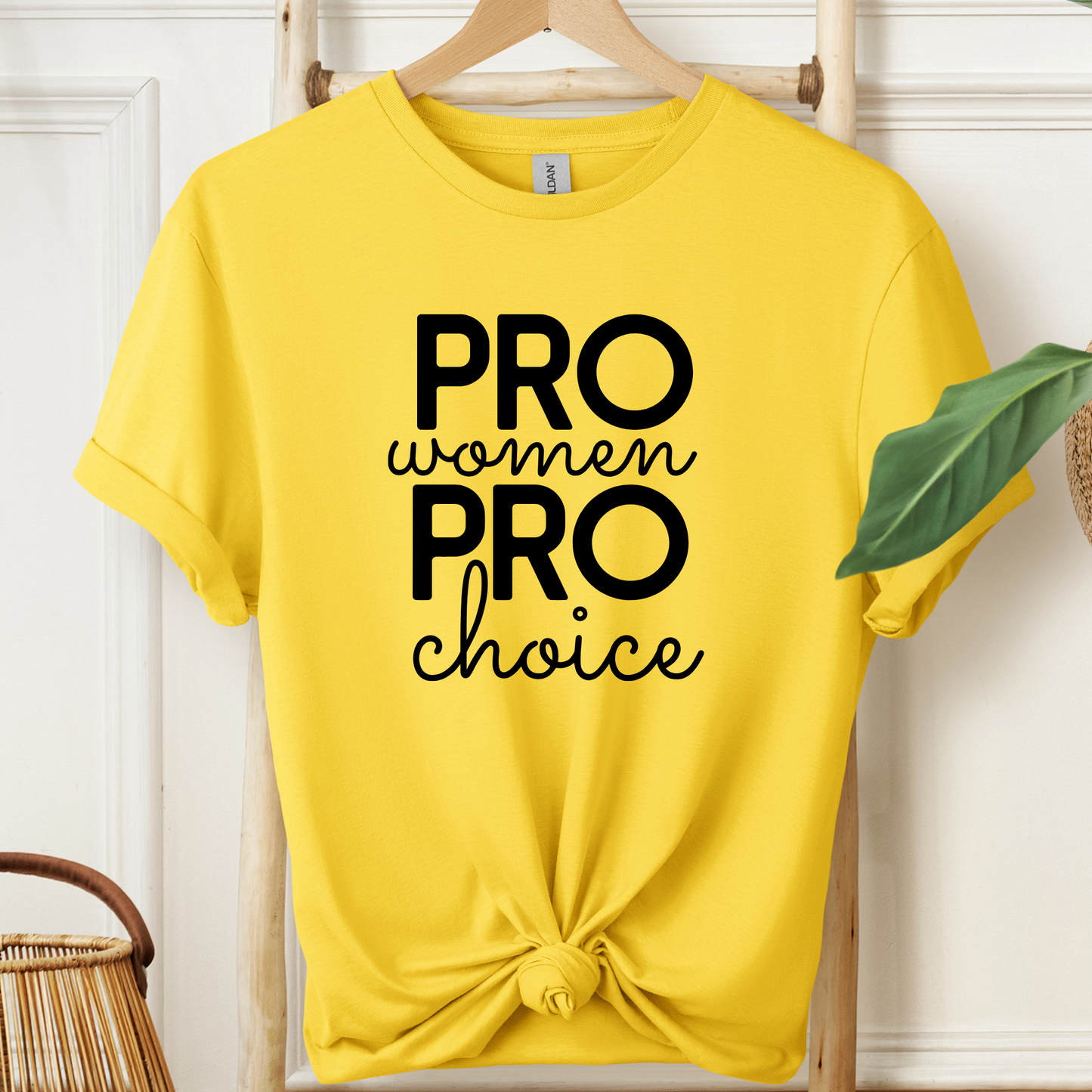 Pro Women Pro Choice
