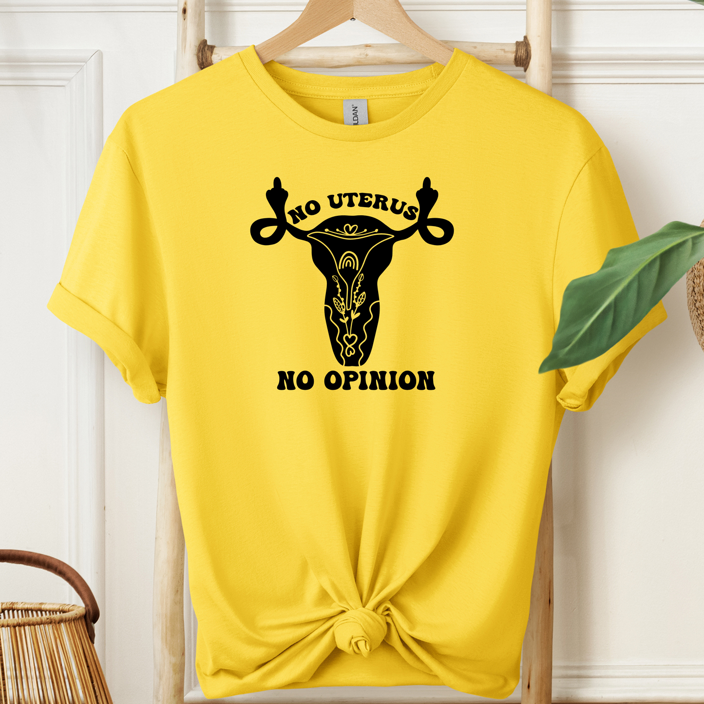 No Uterus No Opinion