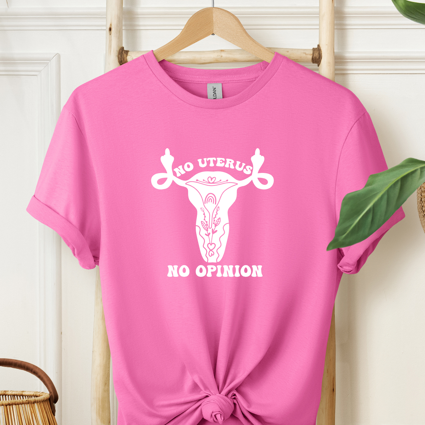 No Uterus No Opinion