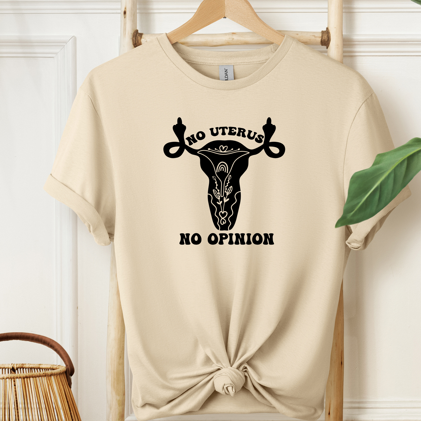 No Uterus No Opinion