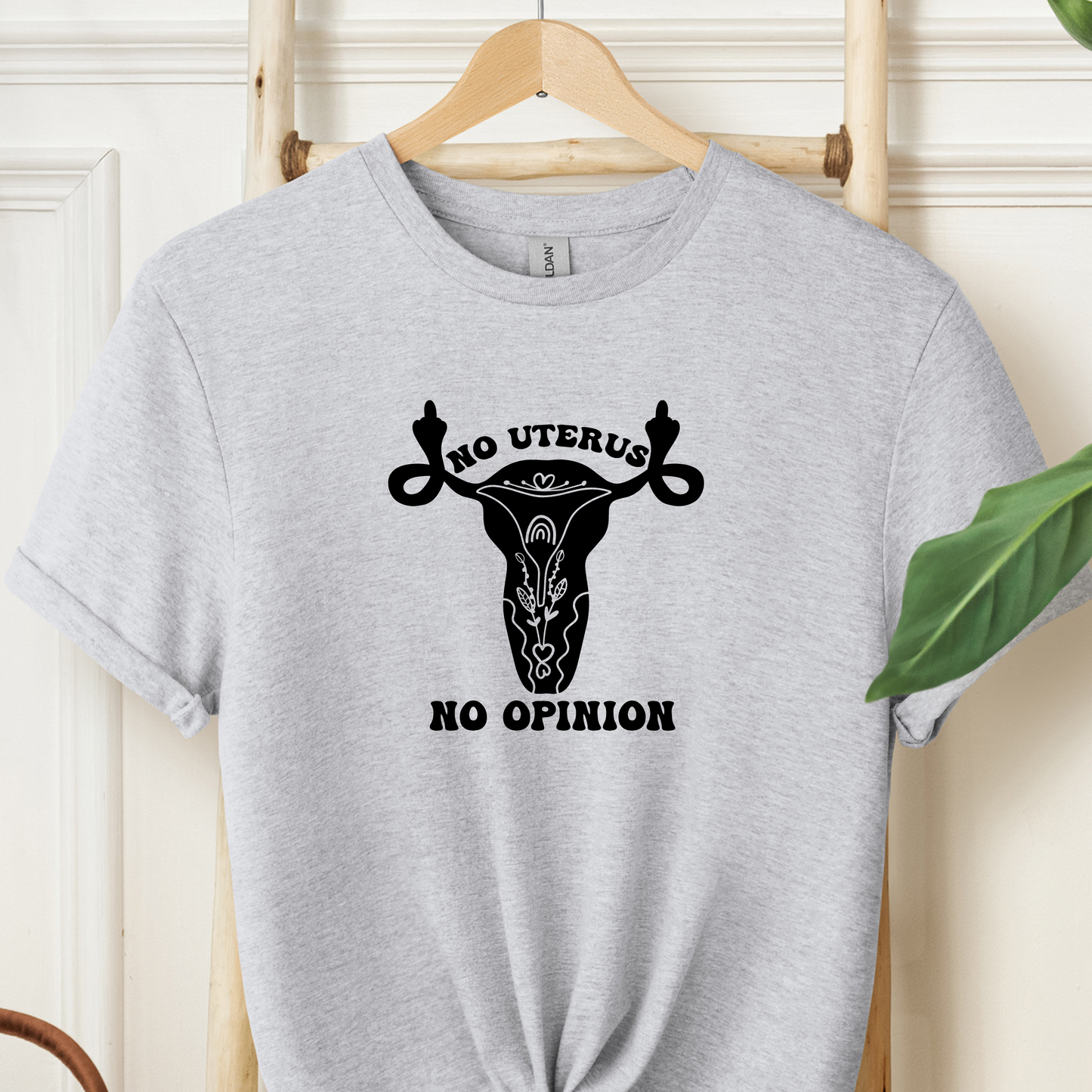 No Uterus No Opinion