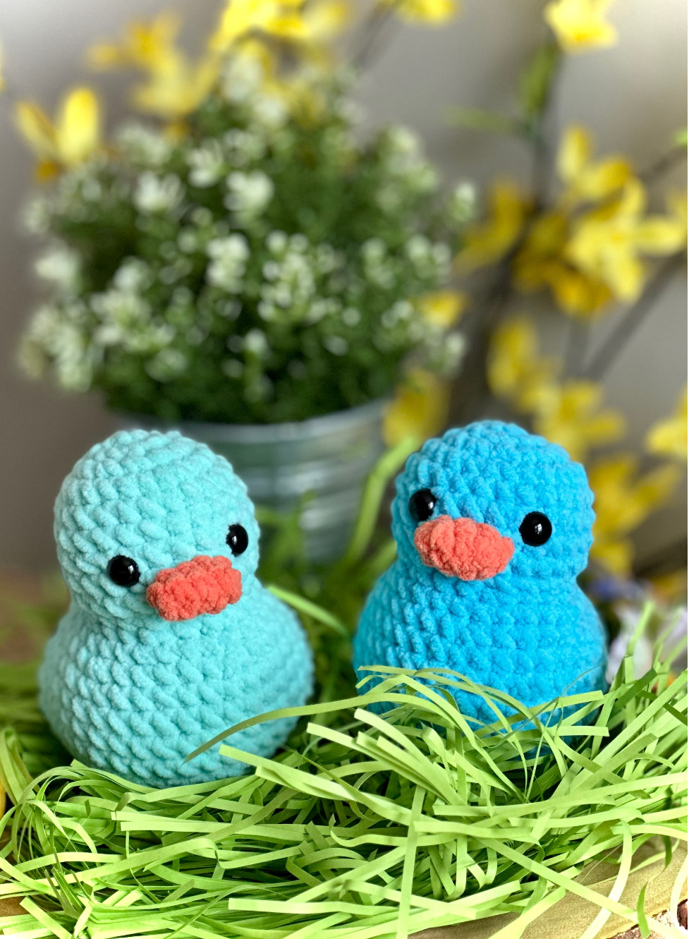 Spring Duck