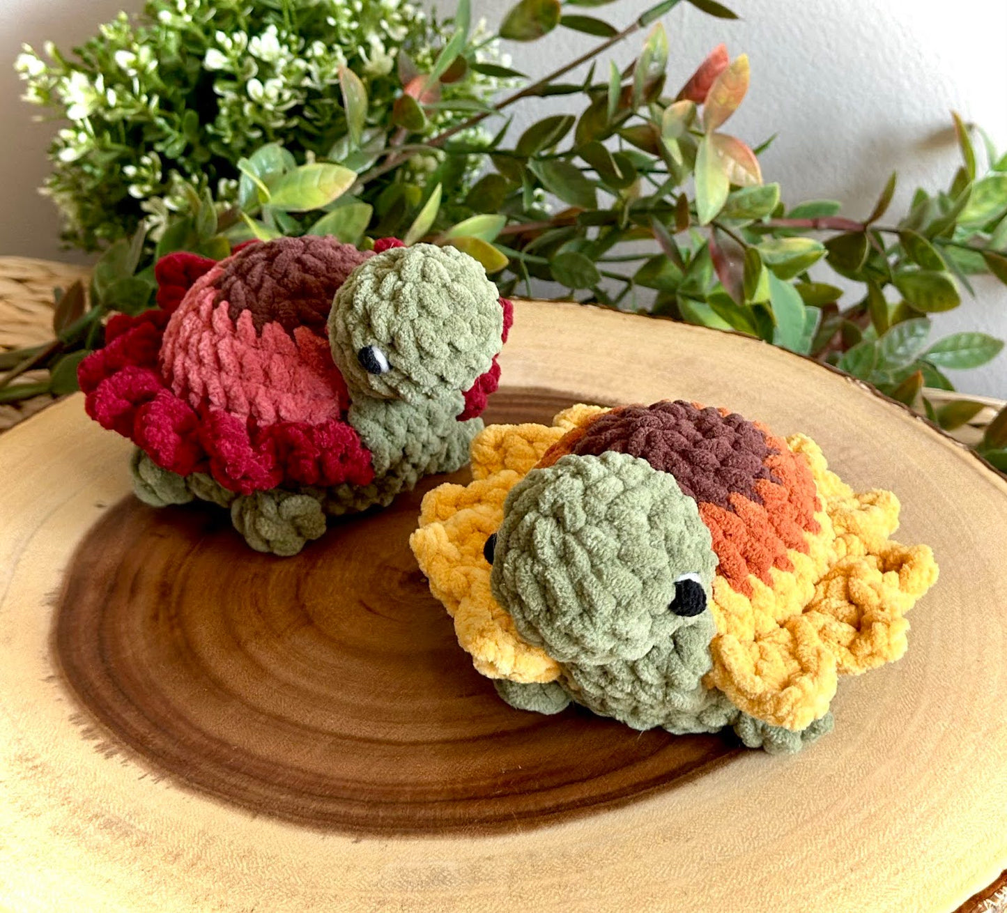 Flower Turtle