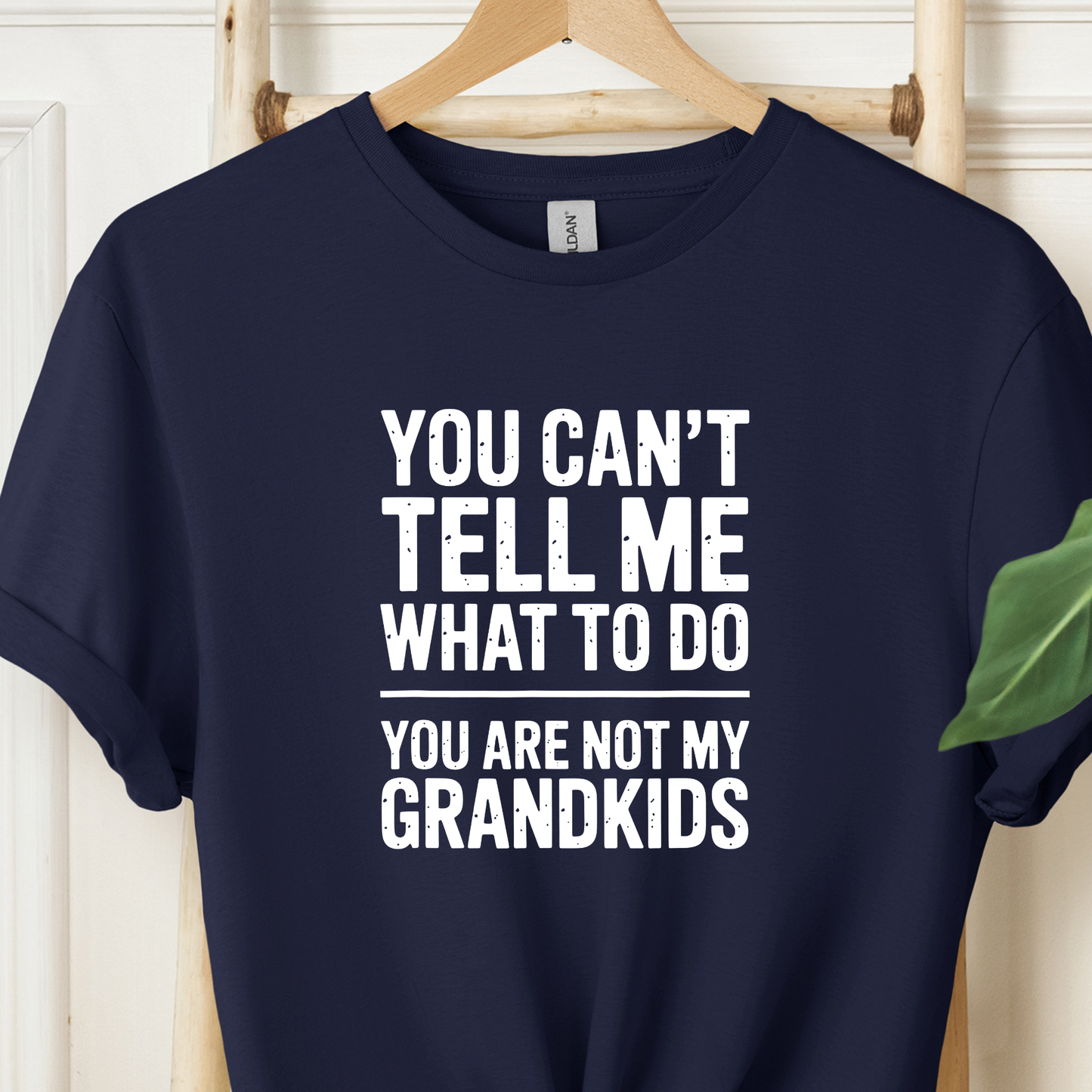 You are not my Grandkids