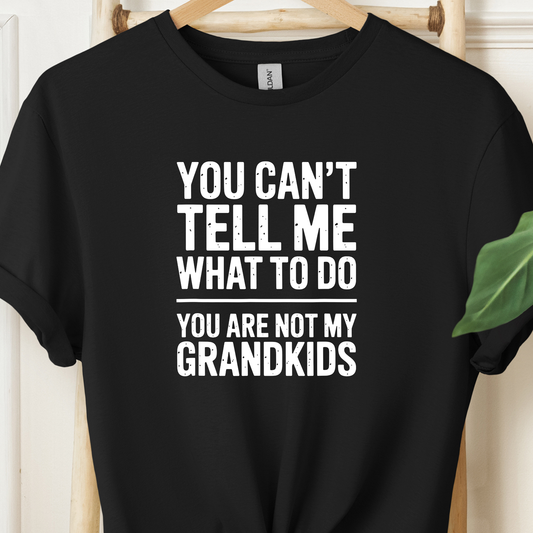 You are not my Grandkids