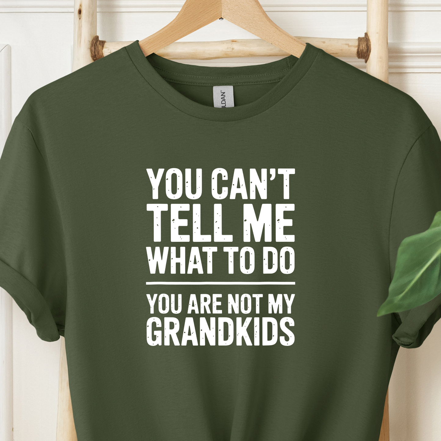 You are not my Grandkids