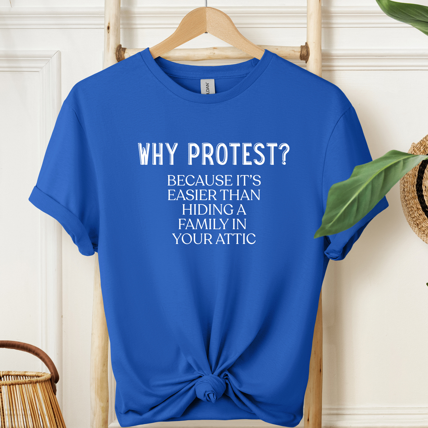 Why Protest?